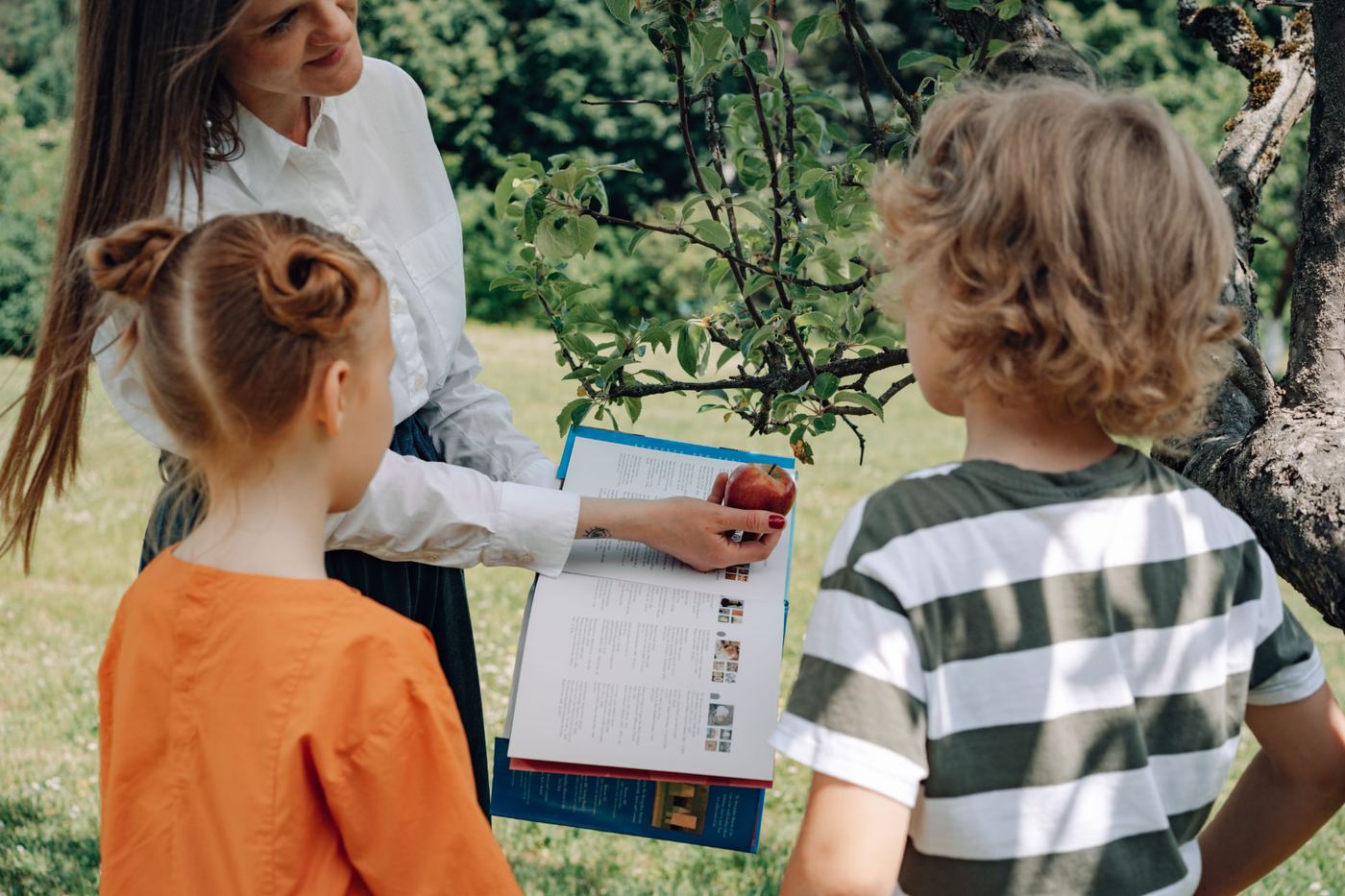 Outdoor Learning the Nordic Way: Online